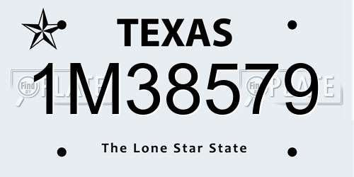 1M38579 Texas License Plate