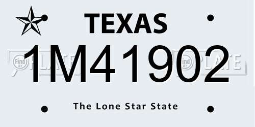 1M41902 Texas License Plate
