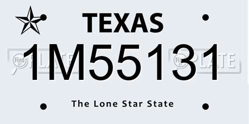1M55131 Texas License Plate