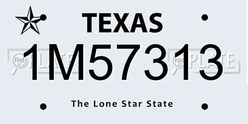 1M57313 Texas License Plate