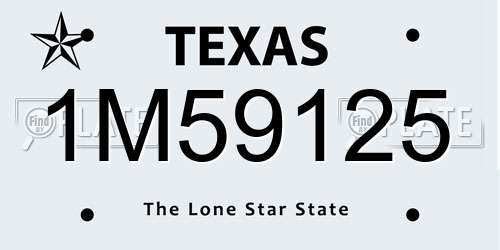 1M59125 Texas License Plate