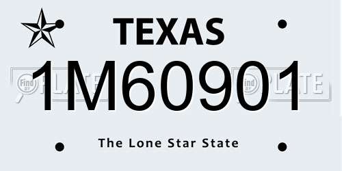 1M60901 Texas License Plate