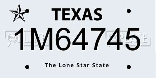 1M64745 Texas License Plate