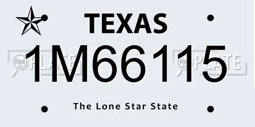 1M66115 Texas License Plate