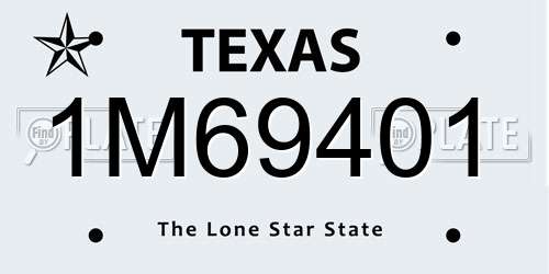 1M69401 Texas License Plate