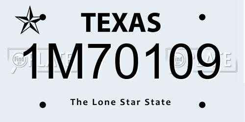 1M70109 Texas License Plate