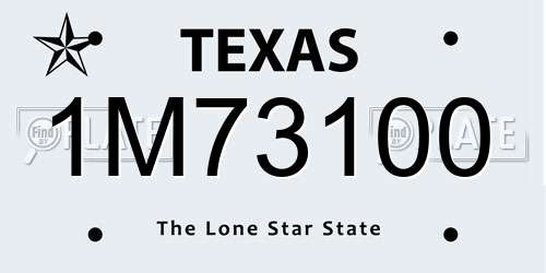 1M73100 Texas License Plate
