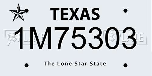 1M75303 Texas License Plate