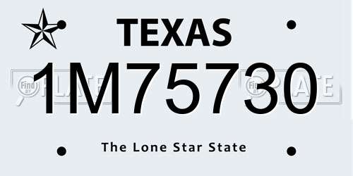 1M75730 Texas License Plate