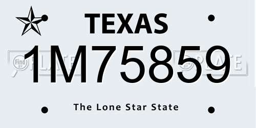 1M75859 Texas License Plate