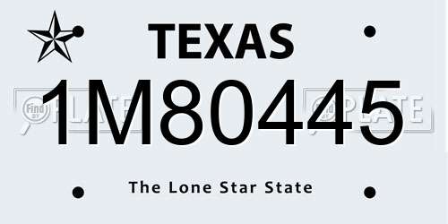 1M80445 Texas License Plate
