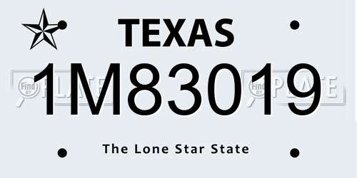 1M83019 Texas License Plate