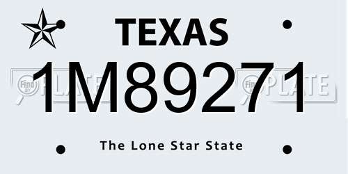 1M89271 Texas License Plate