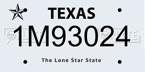 1M93024 Texas License Plate