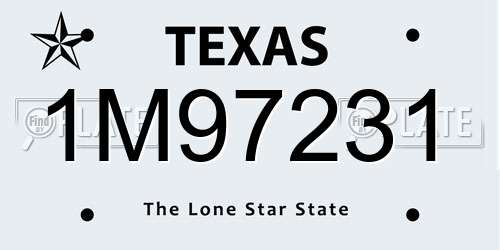 1M97231 Texas License Plate