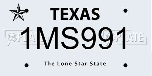 1MS991 Texas License Plate