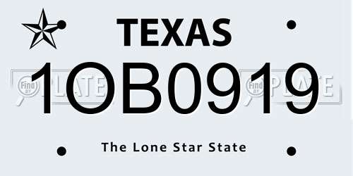 1OB0919 Texas License Plate