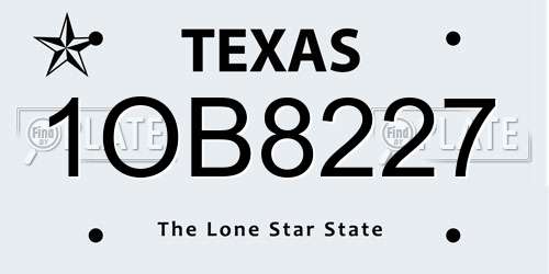 1OB8227 Texas License Plate