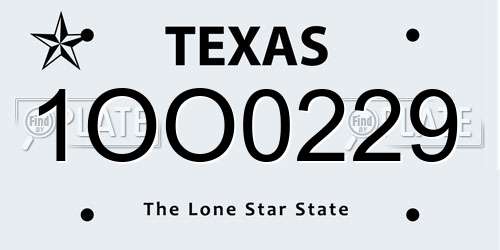 1OO0229 Texas License Plate