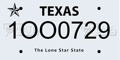 1OO0729 Texas License Plate