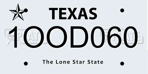 1OOD060 Texas License Plate