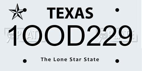1OOD229 Texas License Plate