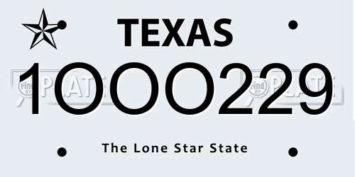 1OOO229 Texas License Plate