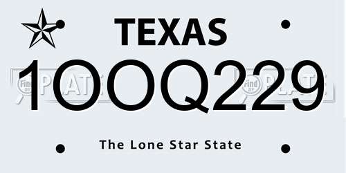 1OOQ229 Texas License Plate