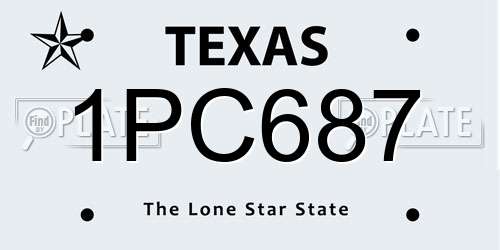 1PC687 Texas License Plate