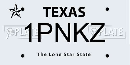 1PNKZ Texas License Plate