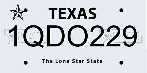 1QDO229 Texas License Plate