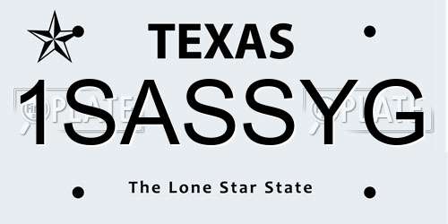 1SASSYG Texas License Plate