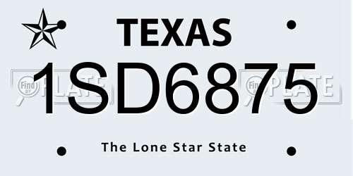 1SD6875 Texas License Plate