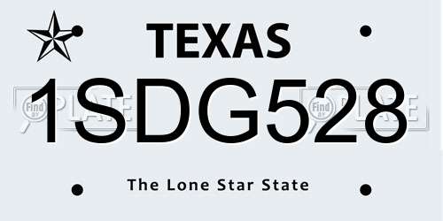 1SDG528 Texas License Plate