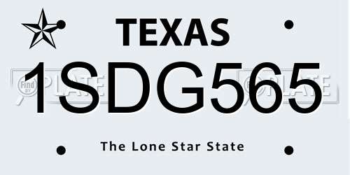 1SDG565 Texas License Plate