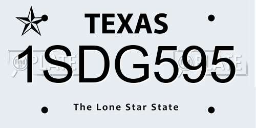 1SDG595 Texas License Plate
