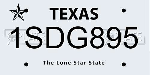 1SDG895 Texas License Plate
