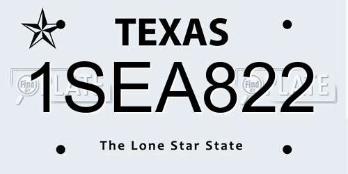 1SEA822 Texas License Plate