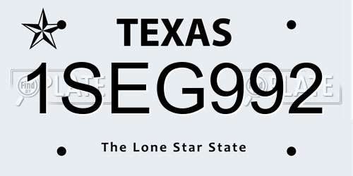 1SEG992 Texas License Plate