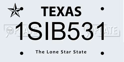 1SIB531 Texas License Plate