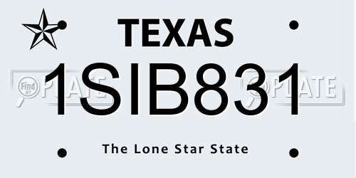 1SIB831 Texas License Plate