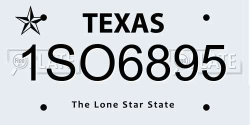 1SO6895 Texas License Plate
