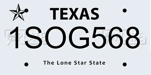 1SOG568 Texas License Plate