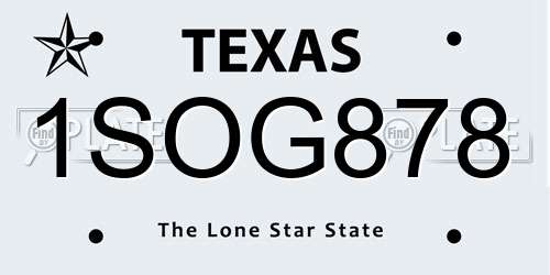 1SOG878 Texas License Plate