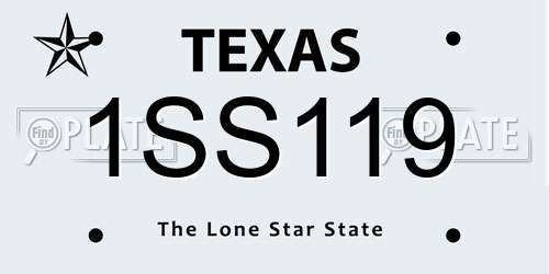 1SS119 Texas License Plate