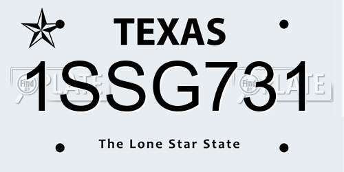 1SSG731 Texas License Plate
