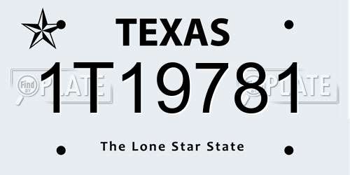1T19781 Texas License Plate