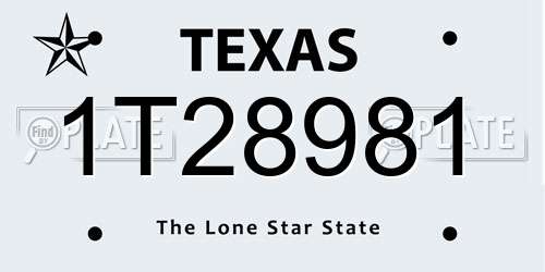 1T28981 Texas License Plate