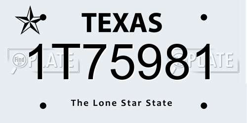 1T75981 Texas License Plate