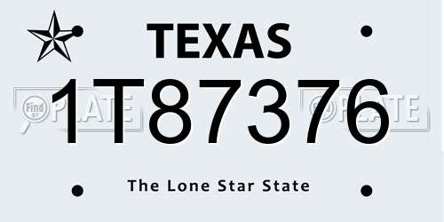 1T87376 Texas License Plate